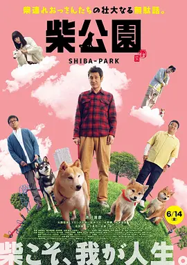 时间:2026.
